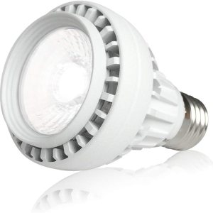 Allisable Bombilla LED de spa de 15 W, 1500 lúmenes, 120 V, 6000 K, luz diurna blanca LED para piscina, reemplaza hasta 100-300 W bombilla Allisable Bombilla LED de spa de 15 W, 1500 lúmenes, 120 V, 6000 K, luz diurna blanca LED para piscina, reemplaza hasta 100-300 W bombilla