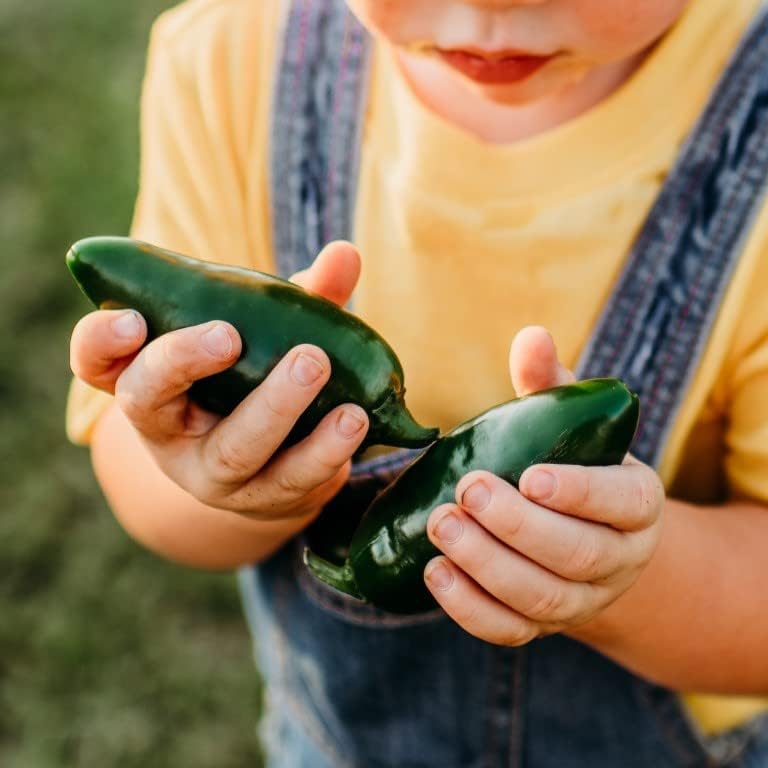 Craig’s Grande Jalapeño – 25 semillas – Variedad de jalapeño gigante de reliquia, semillas de vegetales sin OMG para plantar en el jardín doméstico,