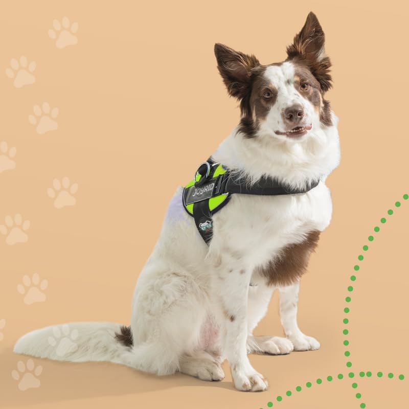 Joyride Harness Arnés para mascotas sin tirones con etiqueta de nombre personalizable, logotipo que brilla en la oscuridad, 3 anillos laterales para