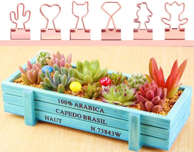 Clips para carpeta de cactus con bonitos clips medianos de oro rosa en caja de cristal acrílico para oficina, escuela y suministros para el hogar