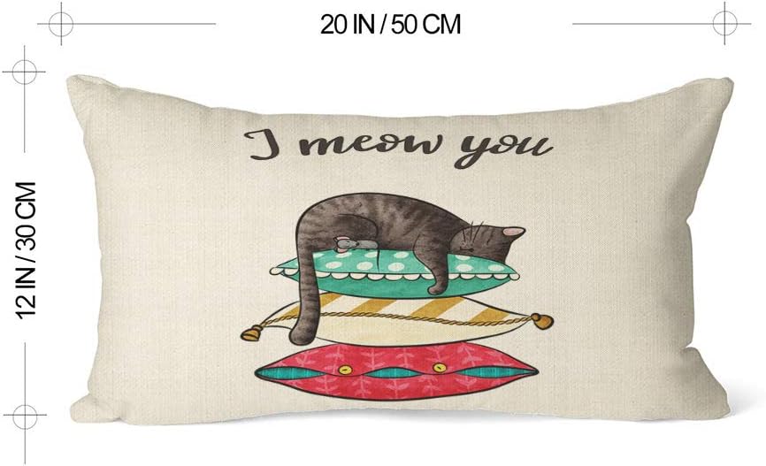 EKOBLA Funda de almohada con texto en inglés “I Meow You” con diseño de gato en acuarela, almohadas coloridas, adorables cachorros, fundas de
