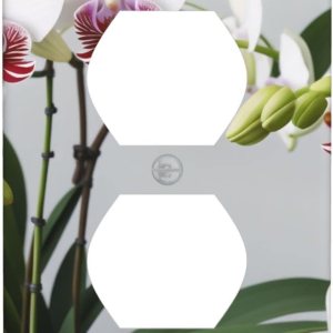 Panel de pared de orquídea mariposa blanca, cubierta de enchufe dúplex, panel de interruptor de luz de palanca, cubierta decorativa para interruptor Panel de pared de orquídea mariposa blanca, cubierta de enchufe dúplex, panel de interruptor de luz de palanca, cubierta decorativa para interruptor