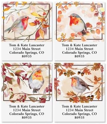 Friendly Robin – Etiquetas de dirección personalizadas de lujo, juego de 144 (4 diseños), autoadhesivas, etiquetas grandes de selección de hojas