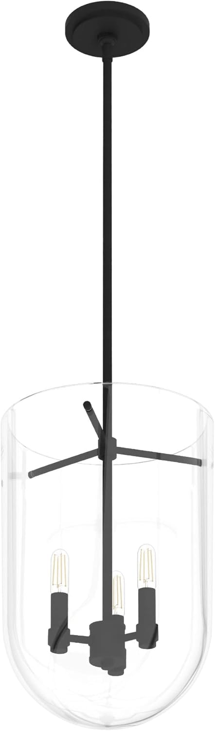 Hunter Fan Company 19318 Lámpara colgante Sacha, hierro natural
