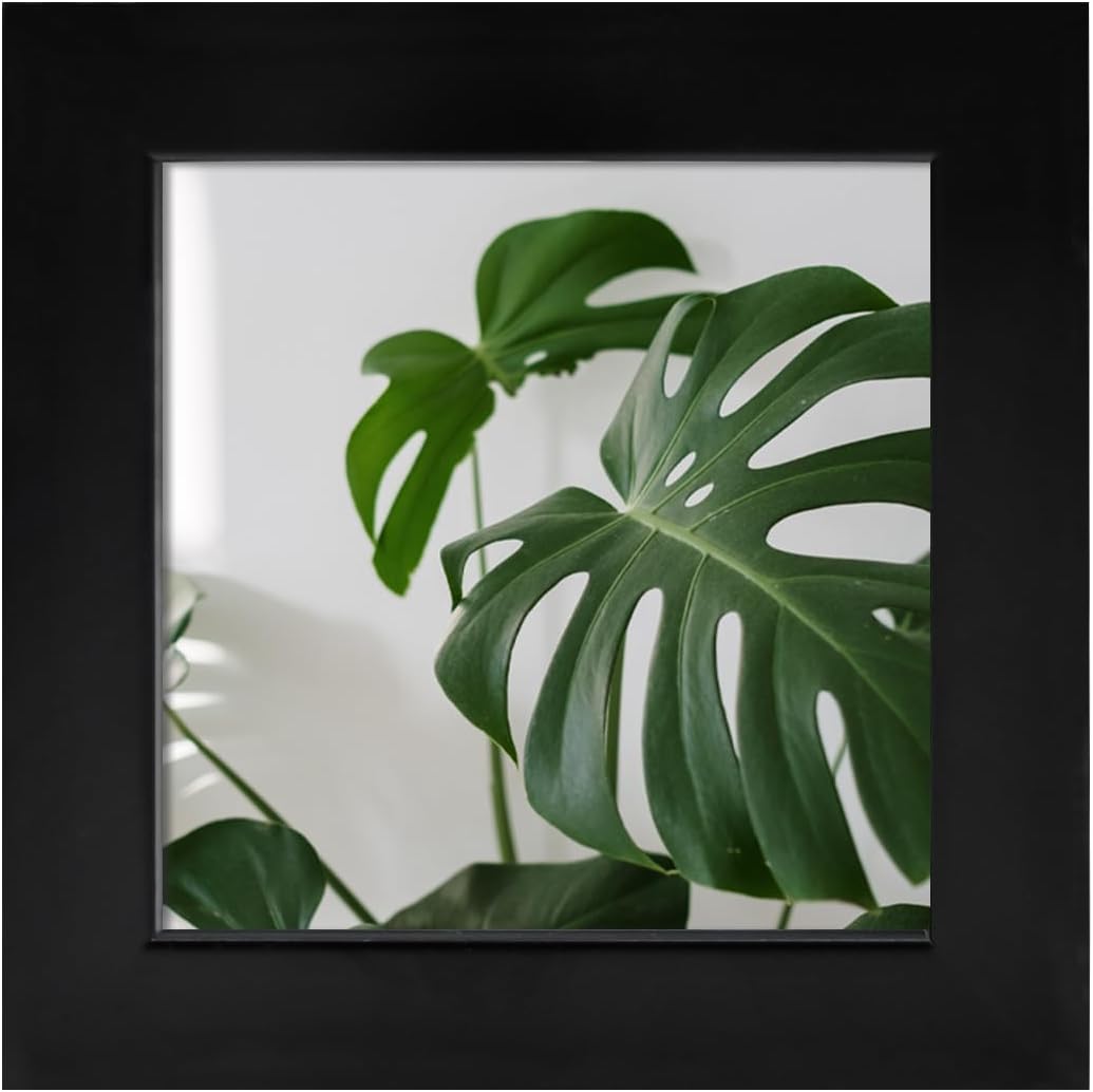 Egofine Marcos de fotos de 4 x 4 hechos de madera maciza cubiertos por plexiglás de 4 x 4 pulgadas, para exhibición de mesa y montaje en pared,