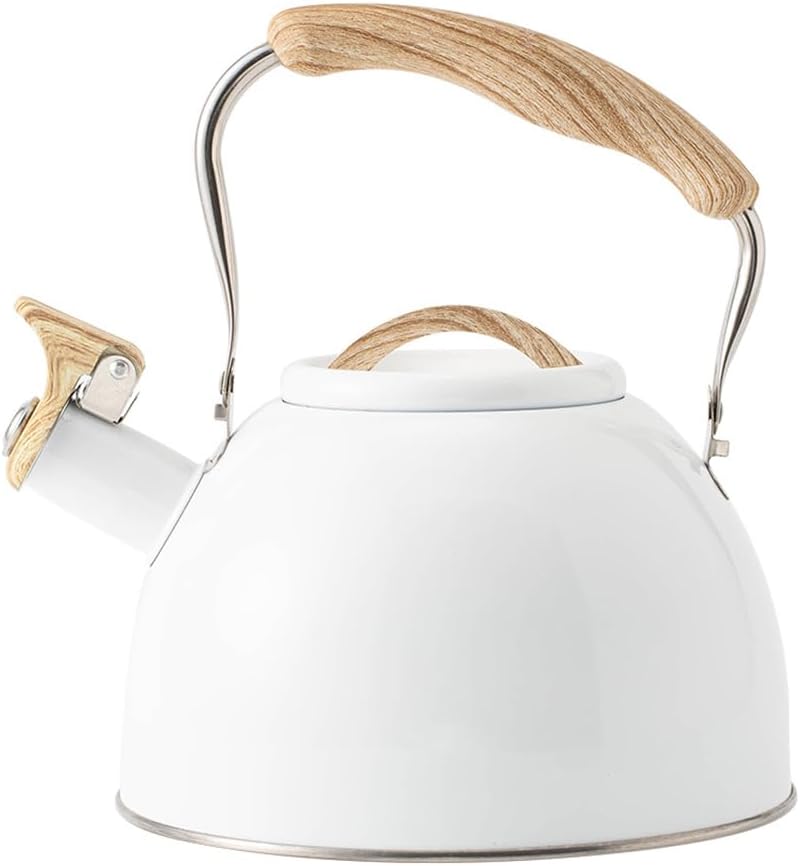 Tetera quirúrgica de acero inoxidable de 3 L con mango ergonómico de tacto fresco, tetera de acero inoxidable con mango frío, también para estufa de
