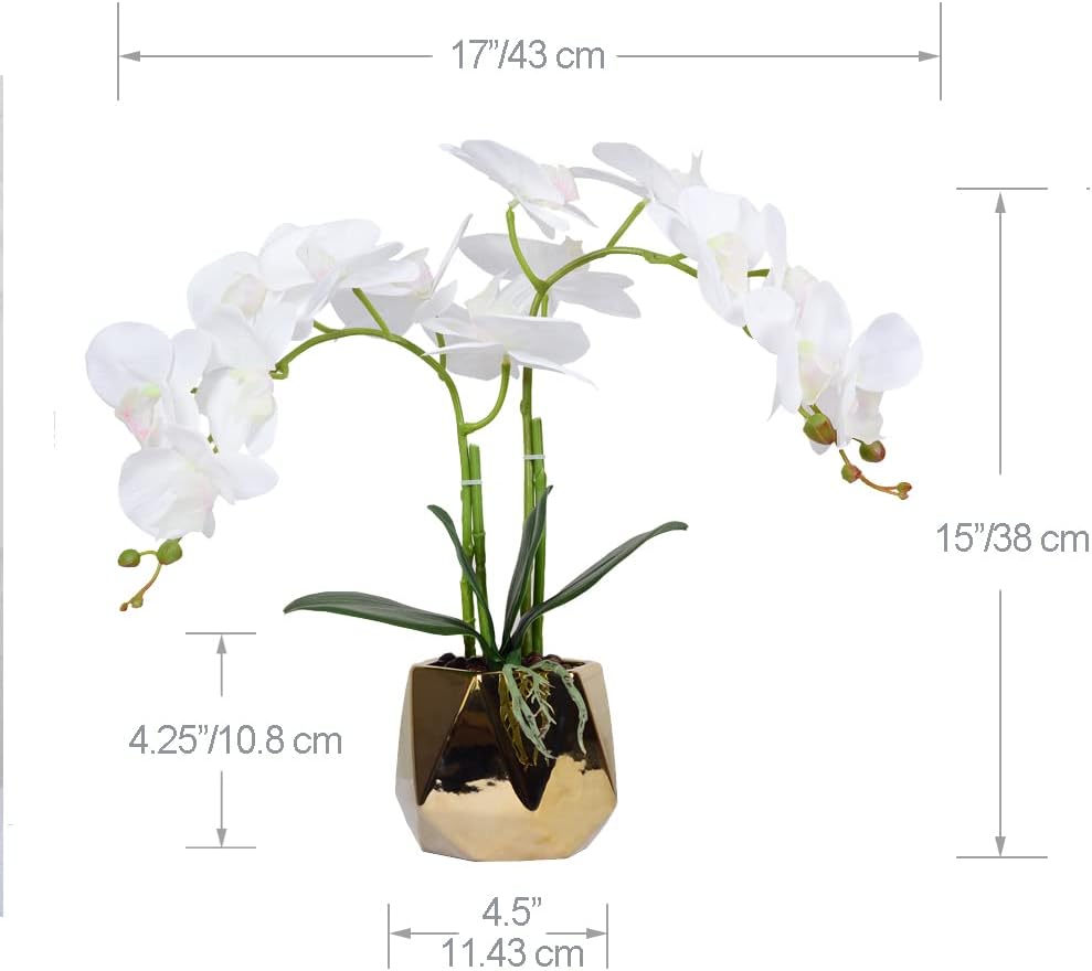 W&W Arreglo de plantas y flores de orquídeas artificiales en maceta de cerámica, orquídea blanca falsa con jarrón dorado, orquídeas falaenopsis