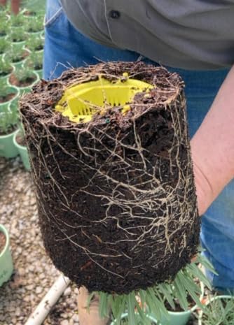 Root Warrior. Juego de 6. Manejo del aire y del agua. Plantas de interior. Huertos. Plantas con flores. Contenedores. Macetas. Camas elevadas.