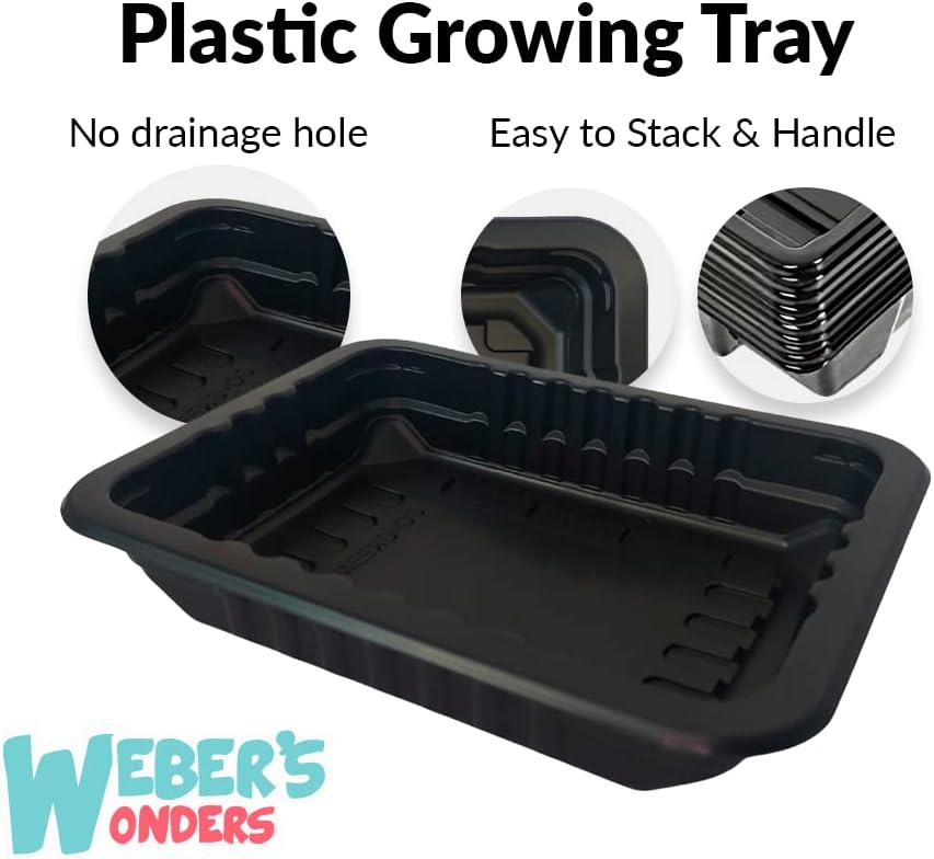 Weber’s Wonders Paquete de 10 bandejas de cultivo de plantas, sin agujeros de drenaje, bandejas perfectas para semillas de jardín, bandejas de