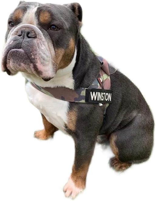 BULLHUG Arnés  Hecho para perros de pecho más grande como bulldogs ingleses, bulldogs franceses, pugs y más. Evita que los perros tiren y se