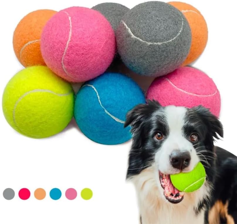 Hungry Dog Co. – Paquete de 12 pelotas de tenis para perros de alta calidad de 2.5 pulgadas – Juguetes seguros para perros para ejercicio y