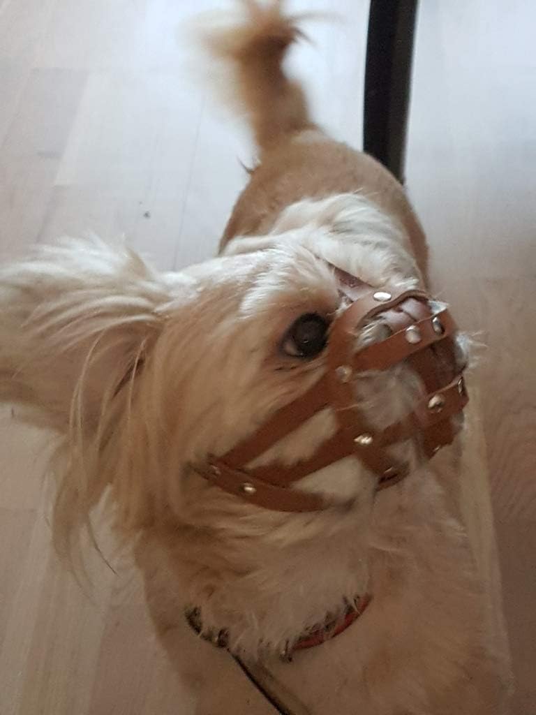 L&J Pets Uk Bozal para perro Shih Tzu, Pug y otros perros de hocico corto de cara plana (cuero marrón, MA 1)