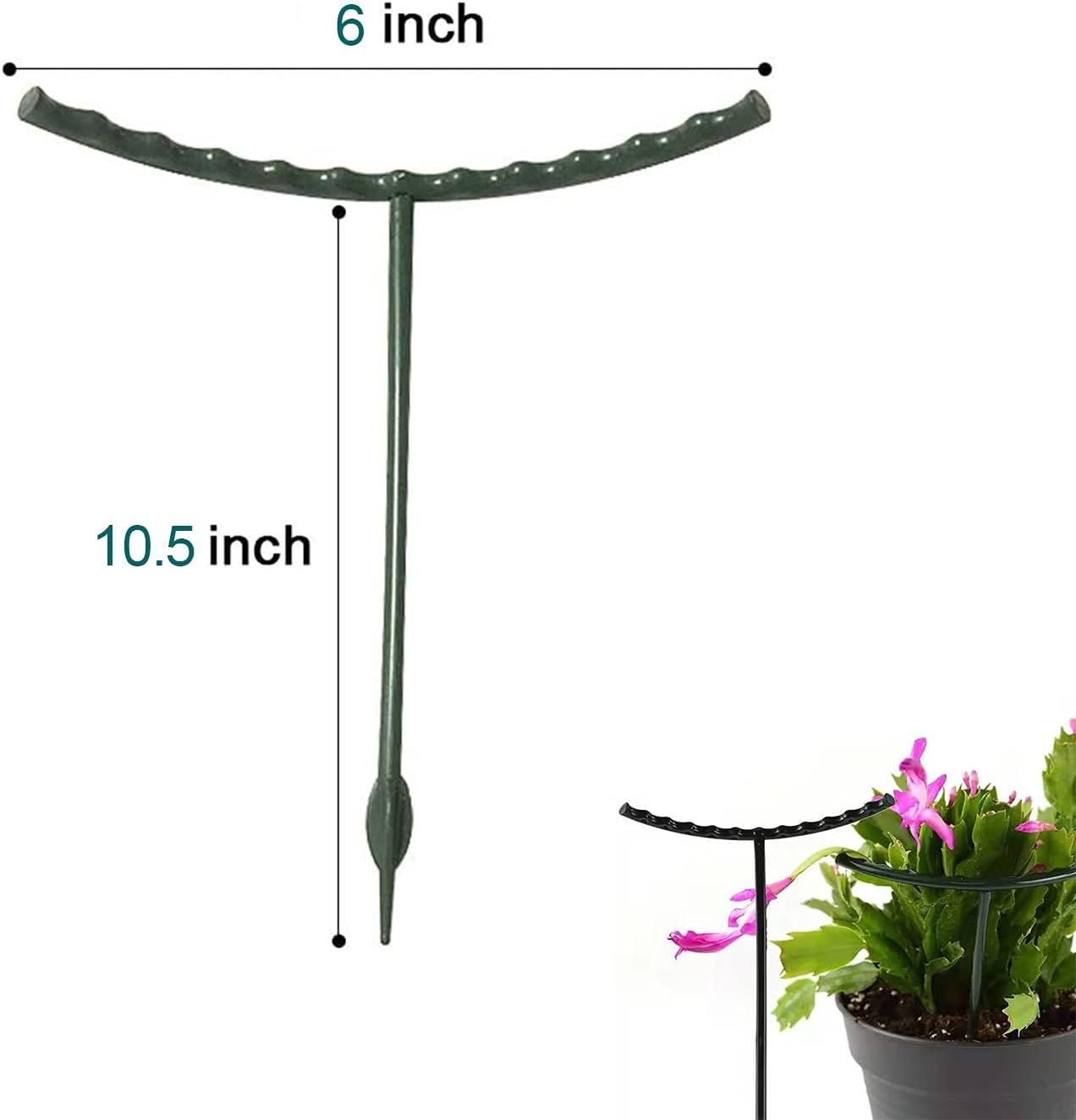 Soporte para plantas de interior y exterior, soporte para plantas pequeñas, medio redondo para plantas en maceta, estacas de plástico con 20 clips