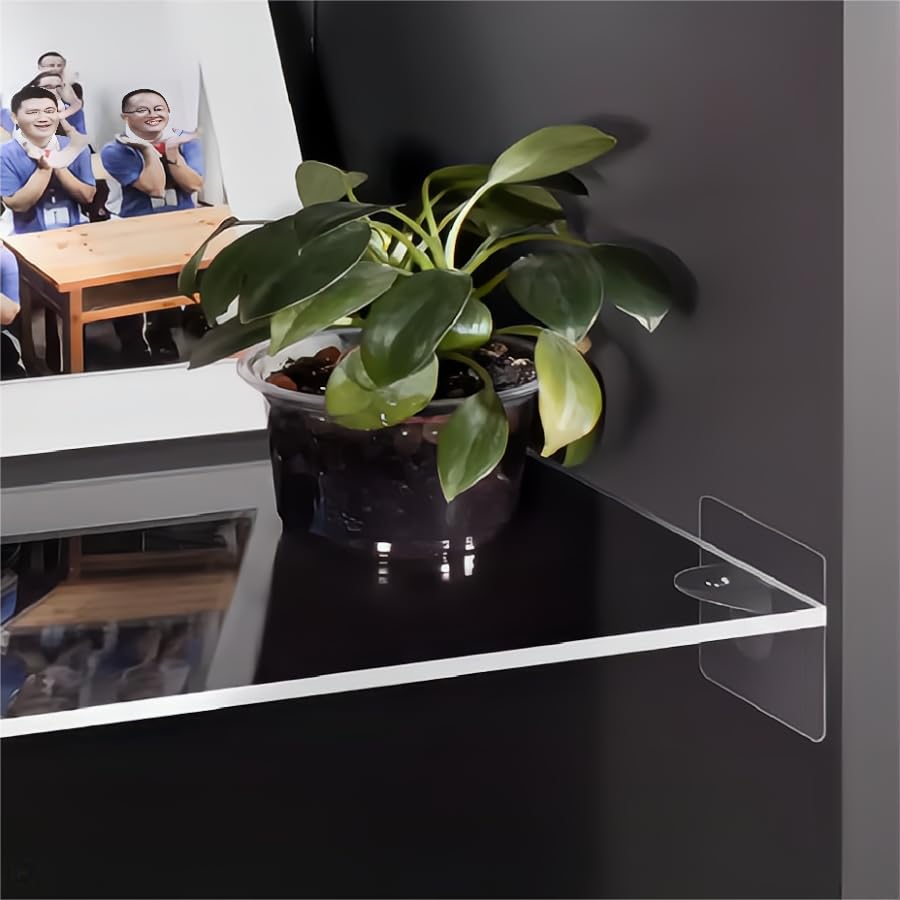 Paquete de 2 hojas acrílicas transparentes de 24 x 24 pulgadas, 316 pulgadas de grosor (0.197 in), hojas de plexiglás, hojas acrílicas para corte