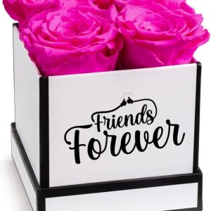 Soho Floral Arts Rosas para mejores amigas Rosas genuinas que duran años Regalo de mejor amiga para mujeres, regalo de amistad Flores para Soho Floral Arts Rosas para mejores amigas Rosas genuinas que duran años Regalo de mejor amiga para mujeres, regalo de amistad Flores para