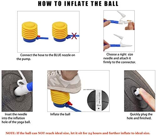 Signature Fitness Pelota de ejercicio antiestallidos y antideslizante, pelota de yoga, pelota de fitness con bomba rápida, capacidad de 2,000