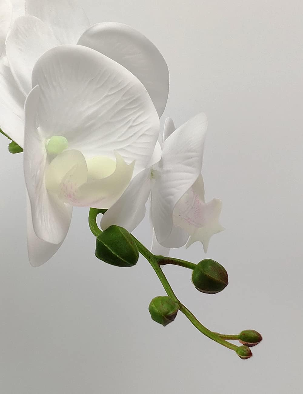 W&W Arreglo de plantas y flores de orquídeas artificiales en maceta de cerámica, orquídea blanca falsa con jarrón dorado, orquídeas falaenopsis