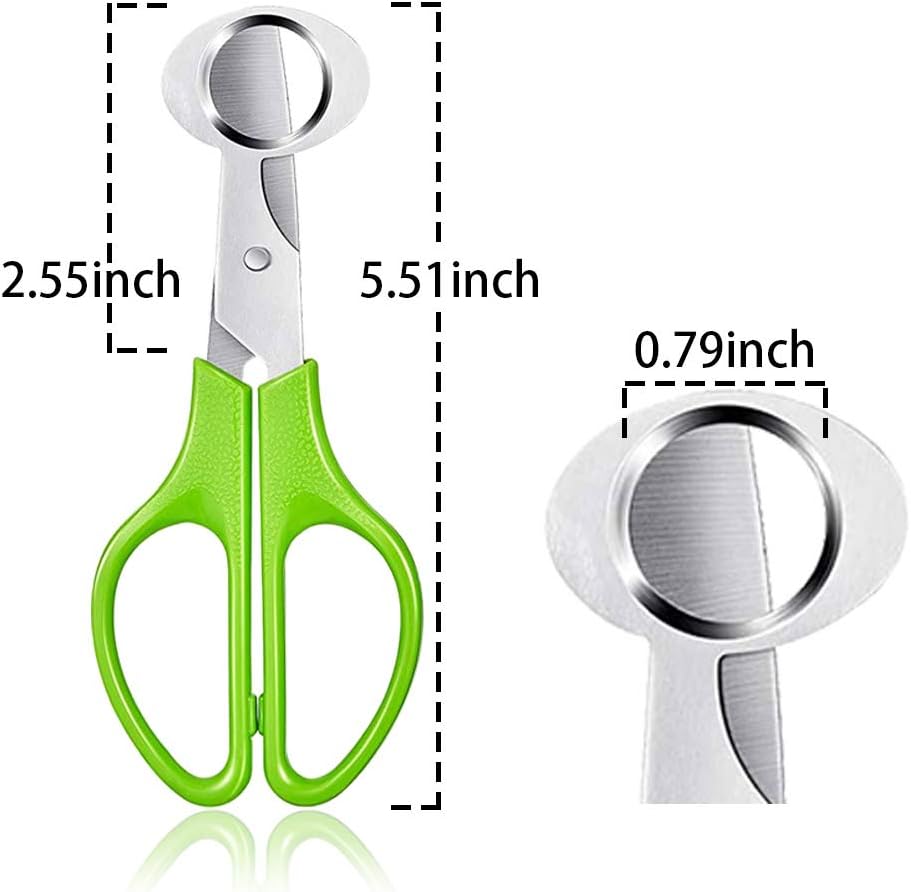 Pack de 2 Tijeras de Huevo de Paloma Acero Inoxidable Verde