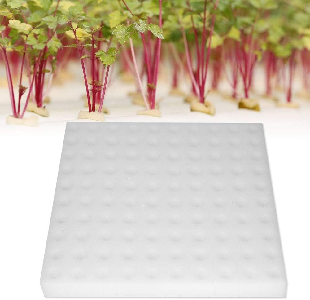 100 cubos de esponja para hidroponía, herramienta de plantación de esponja hidropónica, esponjas cuadradas, insertos clonadores de espuma para