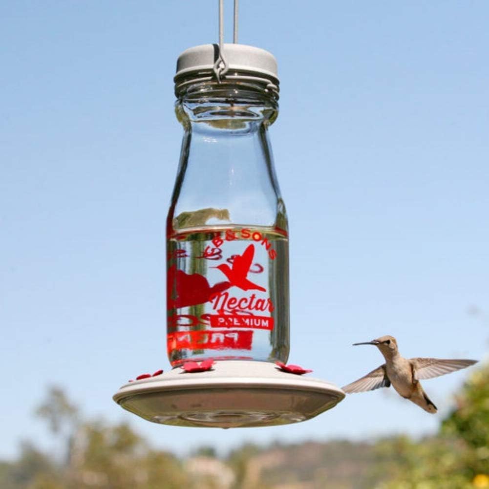More Birds – Comedero para colibríes, con botella de leche de vidrio para colibríes para exteriores, 5 estaciones de alimentación, 18 onzas
