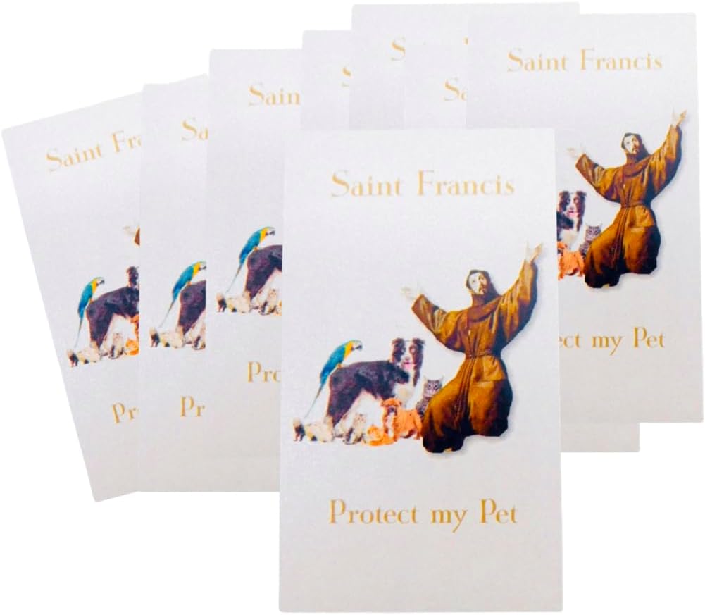 Westmon Works St Francis Holy Card – Paquete a granel de oración a santo patrón católico de los animales, juego de 10
