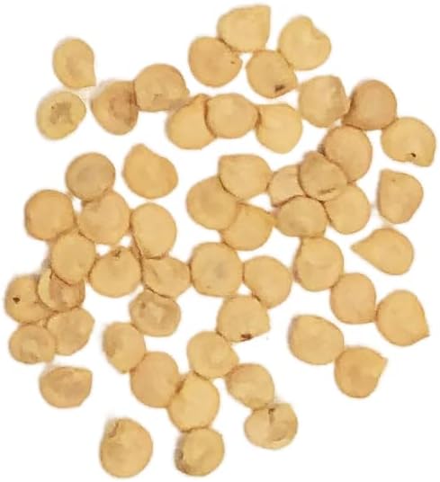 Semillas de pimiento jalapeño orgánico, paquete de semillas de más de 40 semillas polinizadas abiertas sin OMG Sweet Yards Seed Co.