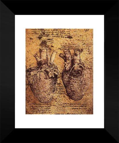 Dibujo del corazón y sus vasos sanguíneos, de los cuadernos anatómicos 15×18 enmarcado por Da Vinci, Leonardo