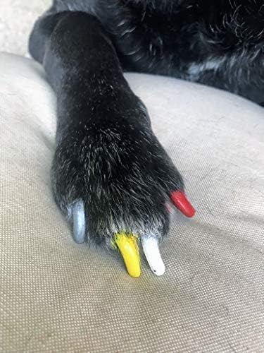 Lápiz de pedicura Warren London Pawdicure, esmalte de uñas para perro, paquete de de 1, Rojo