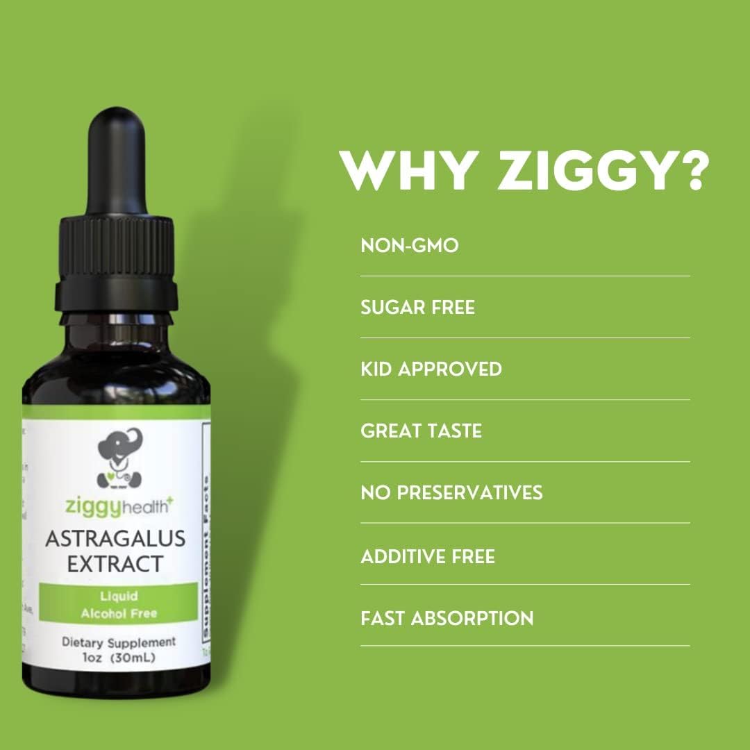 Ziggy Health – Gotas de tintura líquida con extracto de raíz de astrágalo, mezcla de hierbas, apoyo inmunológico, salud corporal, vegano, sin