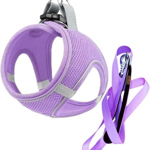 MITA Juego de arnés y correa para perro, arnés para cachorro, arnés para gato, cómodo arnés para perros grandes y pequeños, transpirable y de malla MITA Juego de arnés y correa para perro, arnés para cachorro, arnés para gato, cómodo arnés para perros grandes y pequeños, transpirable y de malla