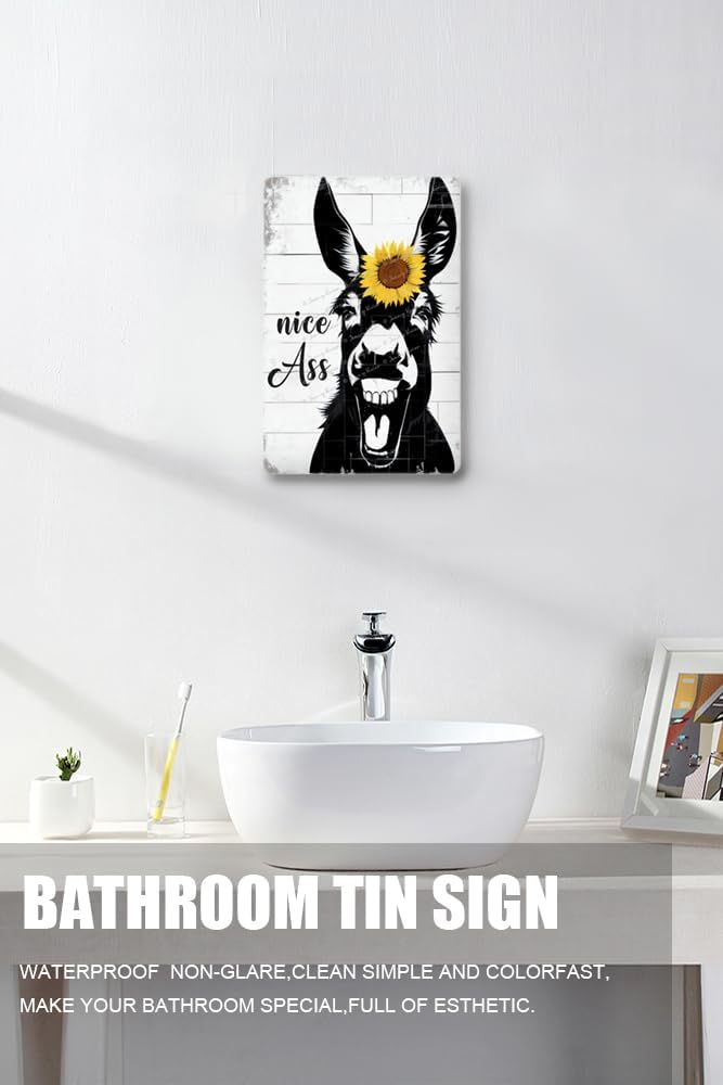 Cartel retro de metal con texto en inglés “Nice A-S-S”, divertido arte de pared de burro, divertido letrero de metal para baño, baño, inodoro,
