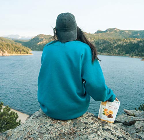 Albaricoques turcos sin sulfatar  Bocadillos orgánicos de frutas secas de albaricoques  Snacks saludables para aperitivos sobre la marcha y después
