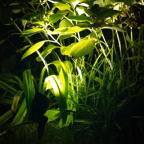 Malibu – Proyector LED de 6 W, iluminación de paisaje, iluminación al aire libre, iluminación impermeable para entrada, patio, césped, inundación,