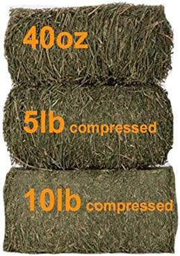 Grandpa’s Best Orchard Grass Bale, 40 oz