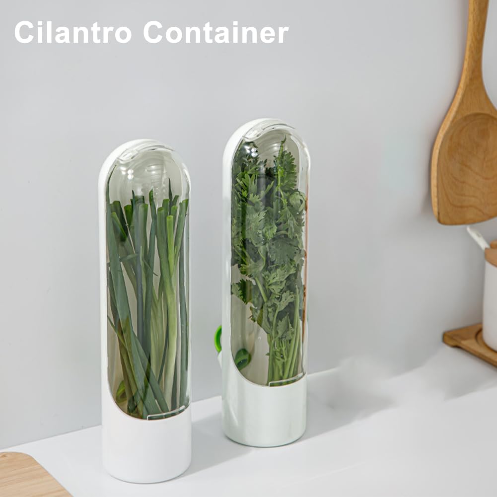 Recipientes de cilantro para refrigerador, contenedor de espárragos para refrigerador, contenedor de hierbas frescas para cilantro, menta, perejil,