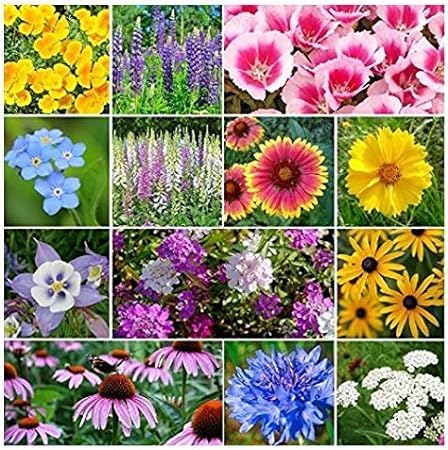 Wildflower Deer Resistant 7132 (Multi) 200 semillas sin OMG, semillas de reliquia