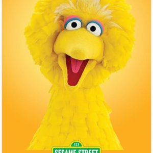 Yoto Plaza Sésamo canciones favoritas! – Tarjeta musical para niños para uso reproductor y mini reproductor de audio todo en 1, escucha sin pantalla Yoto Plaza Sésamo canciones favoritas! – Tarjeta musical para niños para uso reproductor y mini reproductor de audio todo en 1, escucha sin pantalla