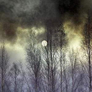 Yeele Telones de fondo de Halloween de noche negra, nube aterradora, luna completa, bosque salvaje, fondo de fotografía de Halloween, fondo de fotos Yeele Telones de fondo de Halloween de noche negra, nube aterradora, luna completa, bosque salvaje, fondo de fotografía de Halloween, fondo de fotos