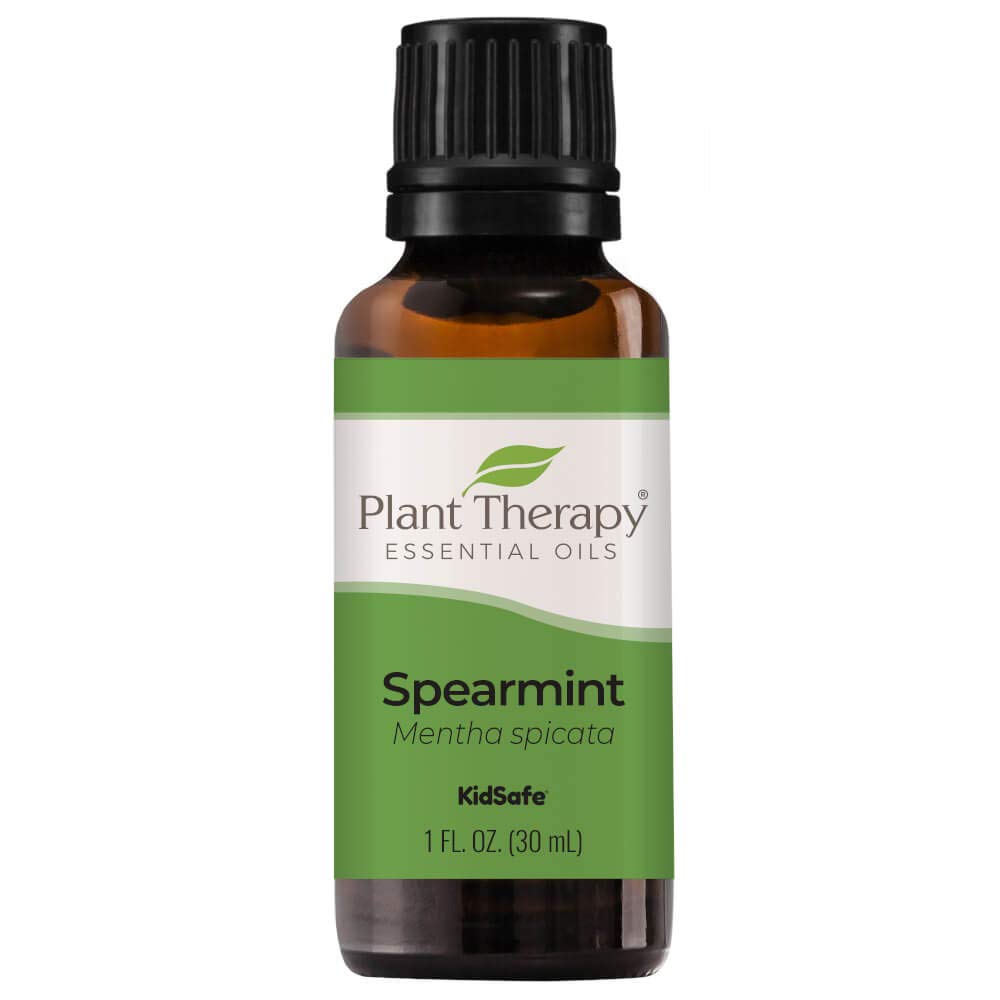 Plant Therapy Aceite esencial de menta verde 1.0 fl oz (1 oz) 100% puro, sin diluir, grado terapéutico