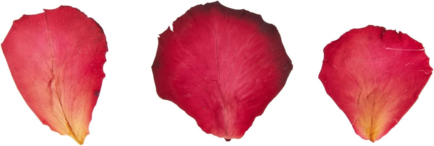7.05 oz de pétalos de rosa secos para baño, fabricación de velas, resina, manualidades de bricolaje, confeti de flores