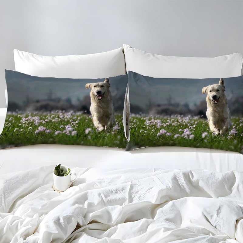 Juego de funda de edredón tamaño individual de cachorro gris oscuro, juego de ropa de cama individual con estampado de animales, funda de edredón de