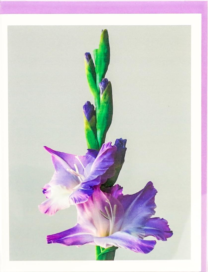 Blooming Flowers – Tarjetas fotográficas pesadas y suaves, 8 con 10 sobres de colores, juego en caja (4.25 x 5.50 pulgadas) en blanco en el