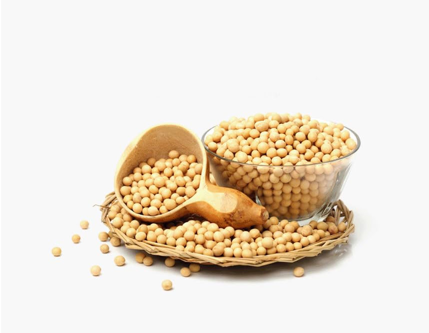 Soja Natto Polvo 100% Natural Nattokinase Alimentos Fermentados Liofilizados Vitamina K2 10.6 oz (300g)
