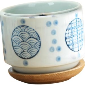 Yardwe Jardinería interior Maceta de cerámica que fluye maceta maceta Bonsái Macetas de bambú Carne Pequeña maceta Jardinería Interior Yardwe Jardinería interior Maceta de cerámica que fluye maceta maceta Bonsái Macetas de bambú Carne Pequeña maceta Jardinería Interior