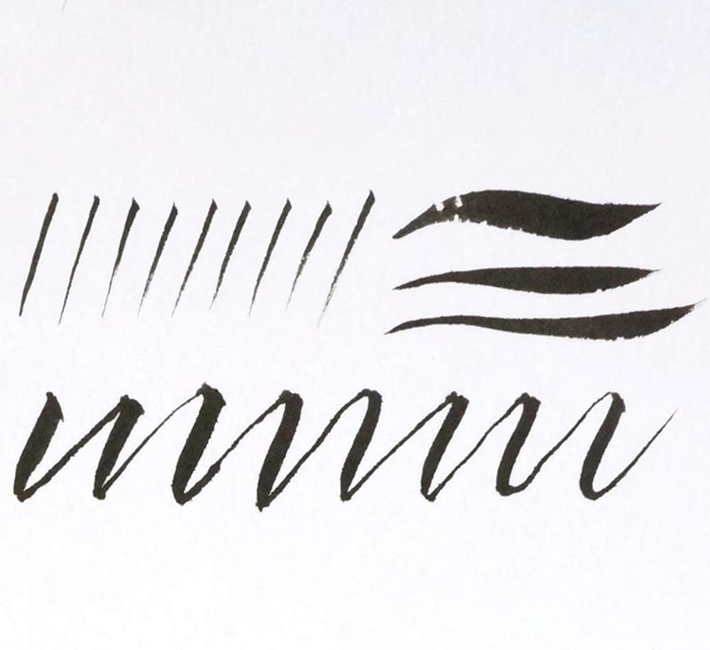 Kuretake ZIG BIMOJI “CAMBIO” – Bolígrafo de pincel fino, tinta negra, recargable, punta de pincel flexible para caligrafía, ilustración, esquema,