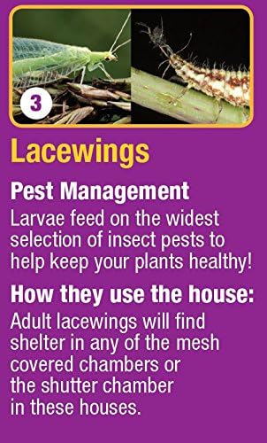 Nature’s Way Bird Products 066465 Cwh8 Deluxe Insect House