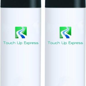 Touch Up Express Pintura para Toyota 4Runner 4S2 Driftwood Pearl 12oz Aerosol Spray Kit para Coche Auto Camión Touch Up Express Pintura para Toyota 4Runner 4S2 Driftwood Pearl 12oz Aerosol Spray Kit para Coche Auto Camión
