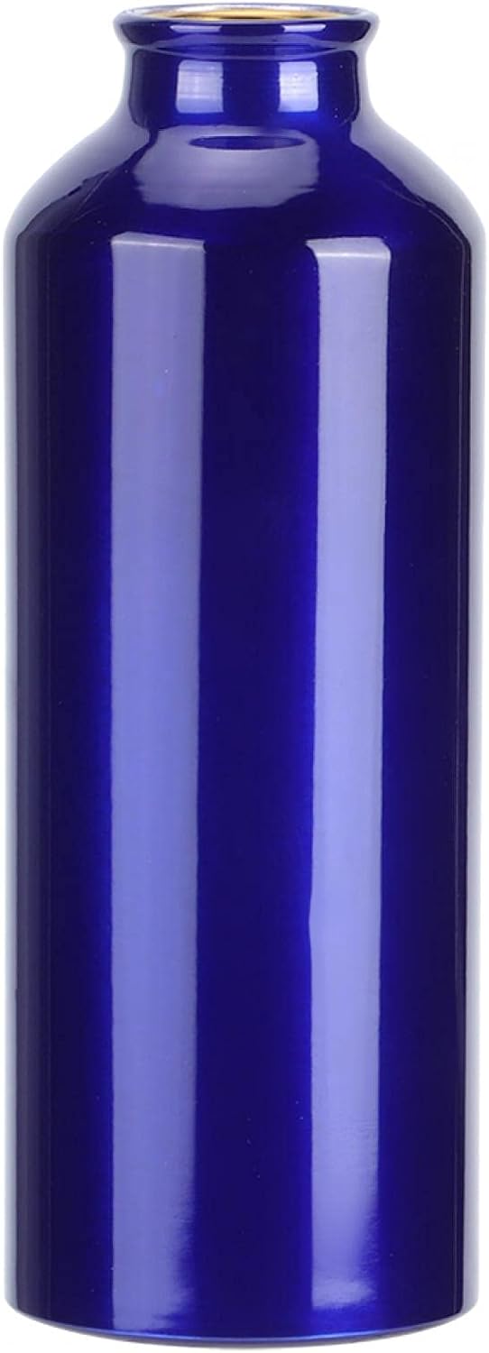 MAVIS LAVEN Botella de agua deportiva de 16.9 fl oz25.4 fl oz, botella de agua de aluminio de gran capacidad para gimnasio, fitness, ciclismo,