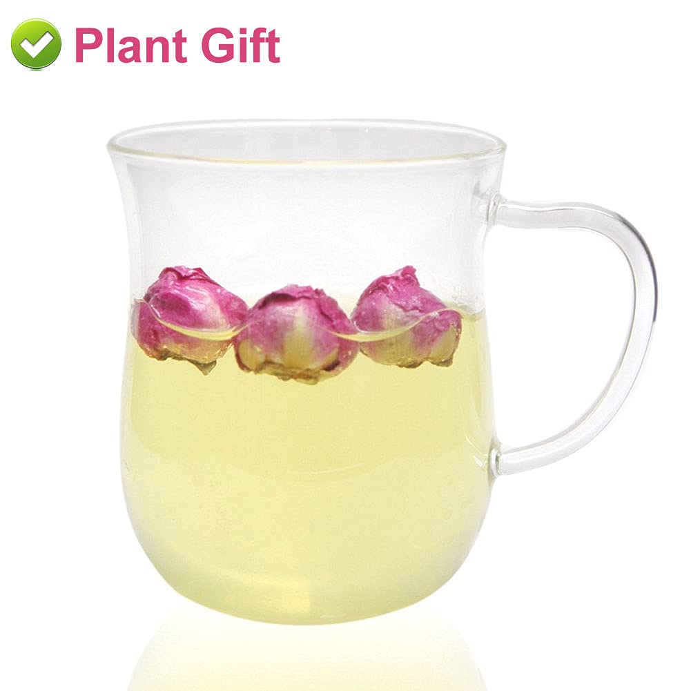 PlantGift – Bola de peonía fragante de 1.76 onzas, 1.76 onzas, Paeonia lactiflora, flores de peonía secas naturales para suministros de fabricación