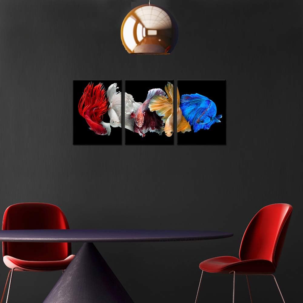 iKNOW FOTO Cinco impresiones en lienzo de peces betta siameses aislados sobre fondo negro, arte de pared, hermoso movimiento, macro, foto, giclée,